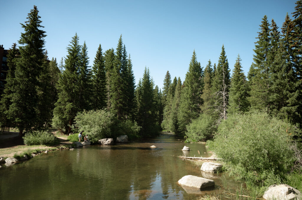Scenic forest stream surrounded by tall pine trees near Breckenridge, Colorado - perfect for pre-wedding adventures and candid couple portraits.