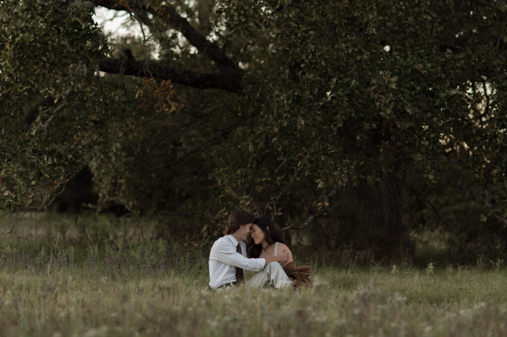 engagement photos sitting under a tree