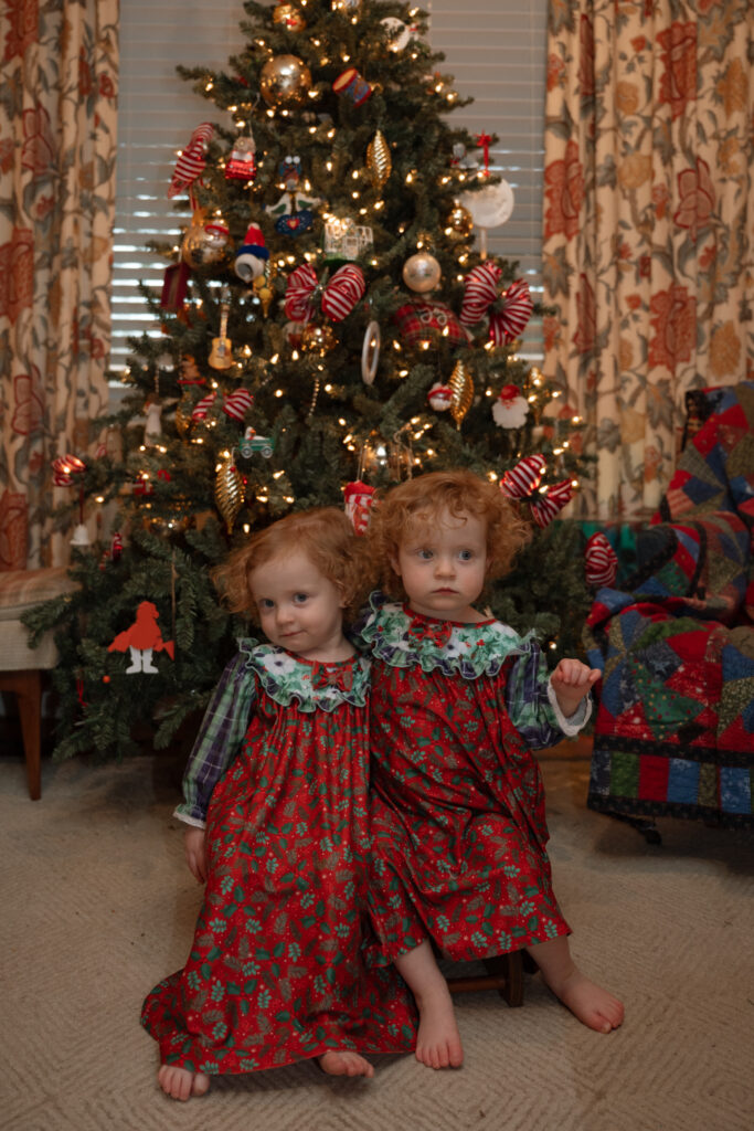 photo of toddler twin girls in front of the Christmas tree
